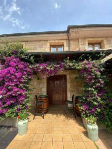 Zahrada ubytování Hotel Vijanera