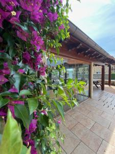 Zahrada ubytování Hotel Vijanera