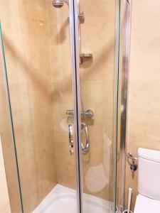 a shower with a glass door next to a toilet at Apartamentos Del Pisuerga in Cervera de Pisuerga