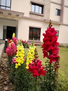 Giardino di YULOKO GUEST HOUSE
