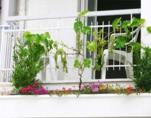 Zahrada ubytování B&B Residence Sorriso