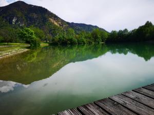 Příroda nedaleko apartmánu