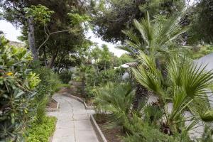 a garden with palm trees and a walkway at 3 Sirene Sciacca Fronte Mare in Sciacca