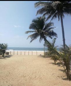 una playa con dos palmeras y el océano en Coco Beach Gokarna en Gokarna