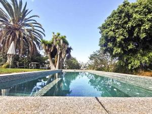 - une piscine au milieu d'une cour arborée dans l'établissement Casa privada con piscinajacuzzi en La Orotava, à La Orotava