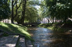 Príroda v okolí apartmánu