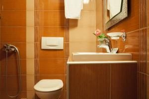 Koupelna v ubytování Hotel Meteoritis
