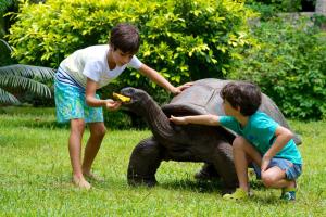 a young girl and a young boy are petting an elephant at Les Villas D'or in Baie Sainte Anne