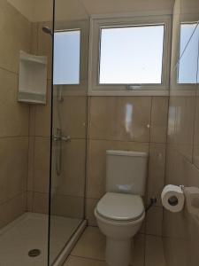 a bathroom with a toilet and a shower and a window at Adalena Court in Protaras +12 photos