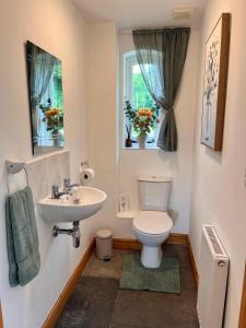 a bathroom with a toilet and a sink and a window at The Old Chapel in Axminster