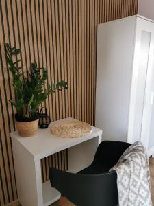 una mesa blanca con una silla y una planta en ella en Kamienica, en Uniejów
