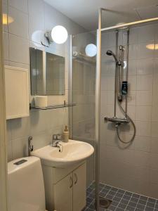 Koupelna v ubytování Garden city studio