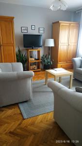 a living room with two couches and a tv at Apartman Rada in Pirot