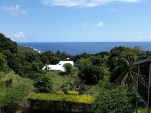 a house on a hill with the ocean in the background at Villa Bigaradier - Meublé 3 étoiles avec vue mer sur la côte Est in Sainte-Rose