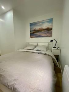Katil atau katil-katil dalam bilik di Appartement T2 plein centre de Bray sur Seine +10 gambar