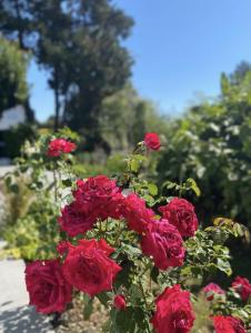 Ein Garten an der Unterkunft À Saint Jean