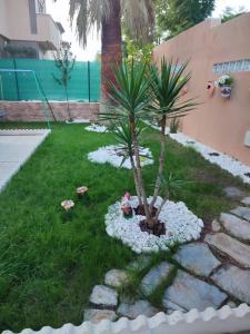 un palmier au milieu d'une cour dans l'établissement Casa Particular, à Aljaraque
