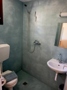 普迪斯媞卡的住宿－Coocooonari - Zephyr，带淋浴、卫生间和盥洗盆的浴室