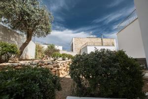 Fotografie z fotogalerie ubytování Esprit Villa 20 v destinaci Polis Chrysochous