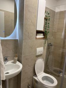 Koupelna v ubytování Luxury Apartment Suljic