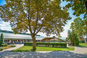 un árbol en un parque frente a un edificio en Harmónia Vendégház, en Igal