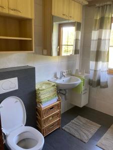 ein Bad mit einem WC und einem Waschbecken in der Unterkunft Arlberggut in St. Johann im Pongau