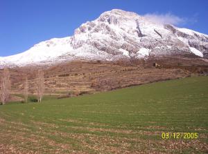 a snow covered mountain in front of a green field at Albergue Casa Fumenal in Padarniu