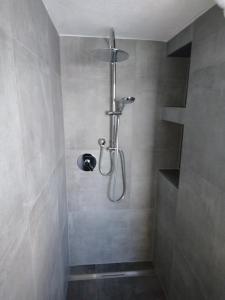 a shower with a shower head in a bathroom at Da Camillo in Oberstaufen