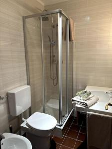 La salle de bains est pourvue d'une douche, de toilettes et d'un lavabo. dans l'établissement Casa Horvais San Candido, à San Candido