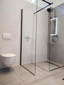 a glass shower in a bathroom with a toilet at Open Space in Varaždin +10 photos