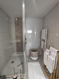La Borie - Loft élégant et spacieux - WIFI في Puygouzon-et-Montsalvy: حمام مع دش ومغسلة ودش
