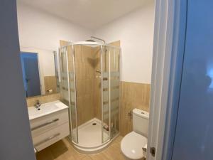 een badkamer met een douche, een toilet en een wastafel bij Apartment in Bilbao, comfortable and well equipped in Bilbao