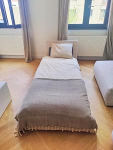 1 Schlafzimmer mit 2 Betten und 2 Fenstern in der Unterkunft Zuid's Charming Gem Apt in Antwerpen