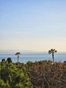 uma vista para o oceano e palmeiras em Bijou Kalamakiou (Athens Riviera) em Atenas