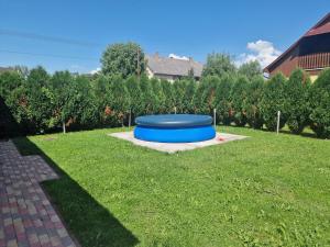 a blue frisbee in the middle of a yard at Rajmund vendeghaz in Balatonkeresztúr