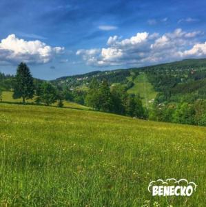 pole zielonej trawy z górami w tle w obiekcie ProFamily Hotel TOP Benecko w mieście Benecko