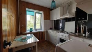 uma cozinha com um lavatório e um fogão forno superior em Економ у центрі 3 кімнати em Lutsʼk