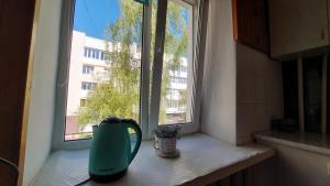 a green blender sitting on a counter next to a window at Економ у центрі 3 кімнати in Luts'k