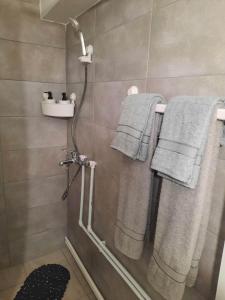 La salle de bains est pourvue d'une douche, de serviettes et d'un lavabo. dans l'établissement Apartman Djokic 5, à Požarevac