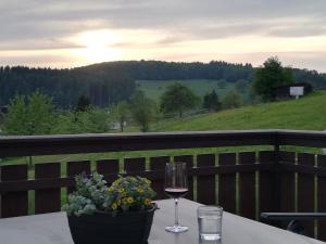 a table with a glass of wine and a plant at Ferienwohnung Traumblick in Beerfelden