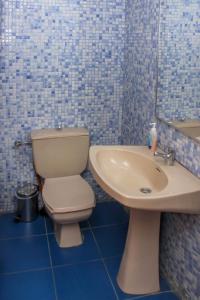 Departamentos Providencia J&M في سانتياغو: حمام من البلاط الأزرق مع مرحاض ومغسلة
