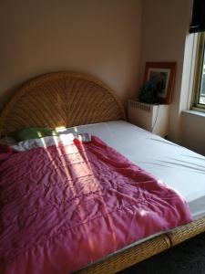 a bed with a purple blanket on top of it at nys willy in Grimbergen