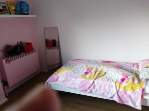 a bedroom with a bed and a mirror at nys willy in Grimbergen +7 photos