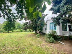 a white house with a tree in front of it at Villa Délibáb in Badacsonytomaj