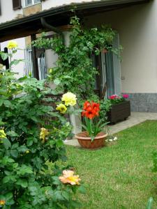 Ogród w obiekcie Hotel Villa Giada