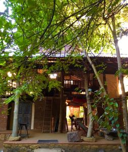 Zahrada ubytování Galkadawala Forest Lodge