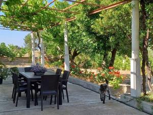 pies spaceruje wokół stołu i krzeseł w obiekcie Skyros BnB, Calliope in Molos w mieście Skiros