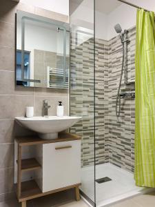 W łazience znajduje się umywalka i prysznic. w obiekcie BG LUXIMMO APARTMENTS w Klużu-Napoce