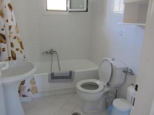 瓦西利基的住宿－Xristina Studios，浴室配有卫生间、浴缸和水槽。