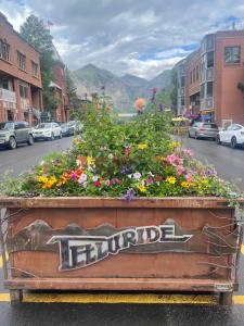 um canteiro de flores na parte de trás de um camião em Telluride Mainstreet 2 Bedroom Condo em Telluride
